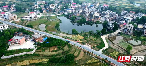 湘潭大學駐村幫扶工作隊助力邵陽縣石蓮村發(fā)展