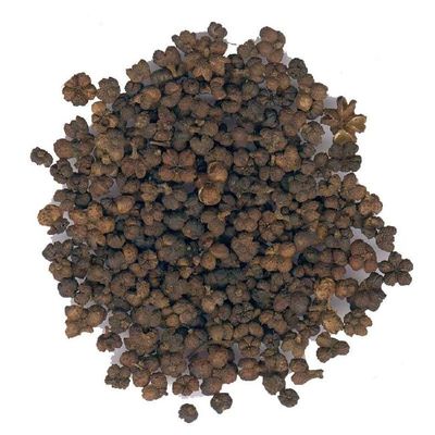 吳茱萸藥農優(yōu)質中花,質地優(yōu)良,自產自銷